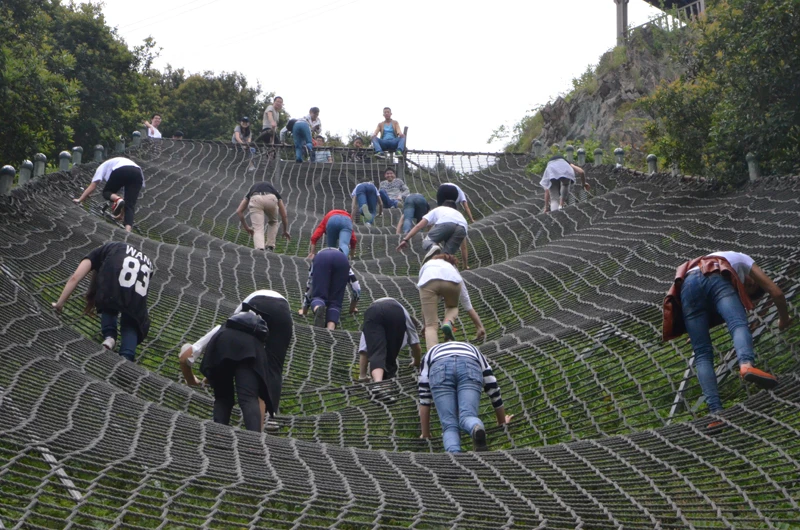 1494307367409593.webp 8.webp